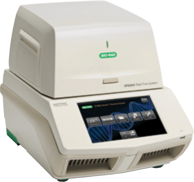 Picture of BioRad CFX384 Touch™ Real-Time PCR Detection System
