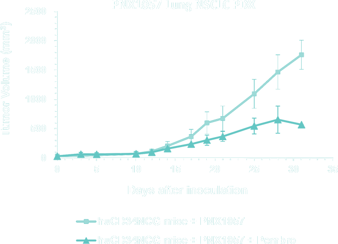 Graph 4